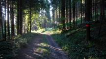  Blick auf die Wanderstrecke 