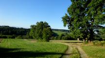  Blick auf die Wanderstrecke 