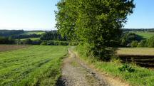  Blick auf die Wanderstrecke 