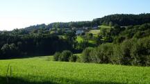  Fernblick nach Oberthalheim 