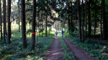  Blick auf die Wanderstrecke 