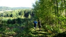  Blick auf die Wanderstrecke 