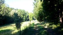  Blick auf die Wanderstrecke 