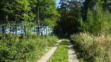  Blick auf die Wanderstrecke 