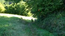  Blick auf die Wanderstrecke 