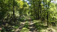  Blick auf die Wanderstrecke entlang des Klosterbergs 