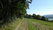  Blick auf die Wanderstrecke entlang des Klosterbergs 
