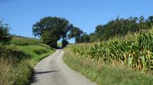  Wanderroute auf dem Gterweg Grabenhuser 