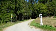  Blick auf die Wanderstrecke auf dem Gterweg Grabenhuser mit dem neuen  Bildstock 