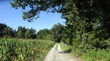  Blick auf die Wanderstrecke 