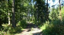  Blick auf die Wanderstrecke 