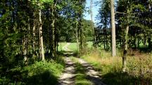  Blick auf die Wanderstrecke 