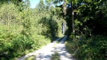  Blick auf die Wanderstrecke 