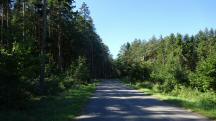  Wanderroute auf der L7247 nach Unterbierbaum 