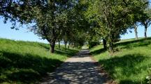 Wanderroute auf dem Glcksweg Richtung Artstetten 