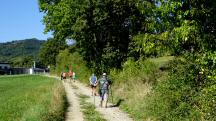 Wanderroute auf dem Glcksweg Richtung Artstetten 