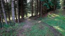  Blick auf die Wanderstrecke 