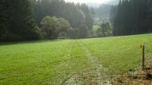  Blick auf die Wanderstrecke zum "Groen Kamp" 