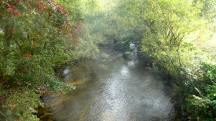  Blick auf den Kamp flussabwrts 