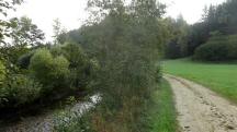  Blick auf die Wanderstrecke entlang des Kamps 