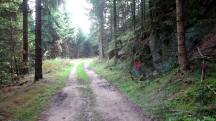  Blick auf die Wanderstrecke 