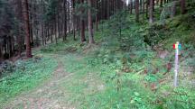  Blick auf die Wanderstrecke 