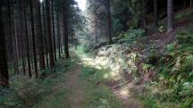  Blick auf die Wanderstrecke 