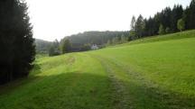  Blick auf die Wanderstrecke nach Hhendorf 
