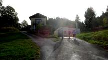  Blick auf die Wanderstrecke in Hhendorf 