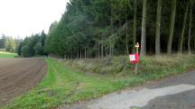  Blick auf die Wanderstrecke 