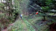 Blick auf die Wanderstrecke durch die Riede Grobergen 