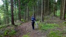 Blick auf die Wanderstrecke durch die Riede Grobergen 