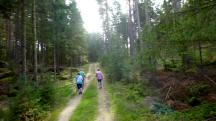 Blick auf die Wanderstrecke durch die Riede Grobergen 