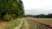 Blick auf die Wanderstrecke durch die Riede Grobergen 