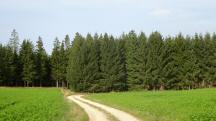 Blick auf die Wanderstrecke durch die Riede Grobergen 