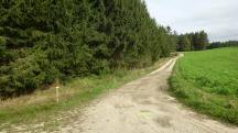 Blick auf die Wanderstrecke durch die Riede Grobergen 