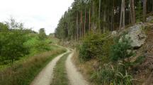  Blick auf die Wanderstrecke 