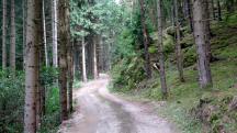 Blick auf die Wanderstrecke 