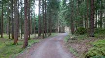  Blick auf die Wanderstrecke 