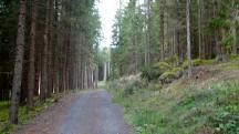  Blick auf die Wanderstrecke 