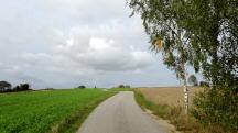 Blick auf die Wanderstrecke nach Marbach am Walde 
