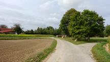 Blick auf die Wanderstrecke nach Marbach am Walde 