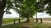 Blick zu den "Die drei Kreuze" an der alten Zwettler Strae bei Marbach/Walde, wurden Sept. 2005 neu errichtet 