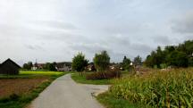 Blick auf die Wanderstrecke bei Marbach am Walde 