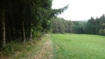  Blick auf die Wanderstrecke 