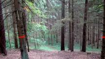  Blick auf die Wanderstrecke 