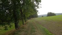  Blick auf die Wanderstrecke 
