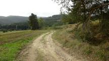  Blick auf die Wanderstrecke nach Dietharts 