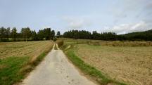  ein Blick zurck 