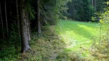  Blick auf die Wanderstrecke Mltersteg 